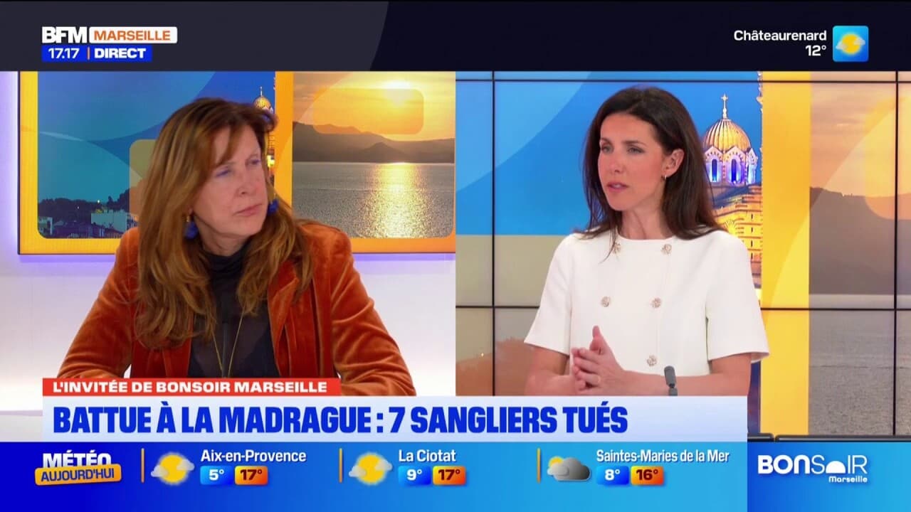 La Madrague Sept Sangliers Tu S Dans Une Battue Administrative