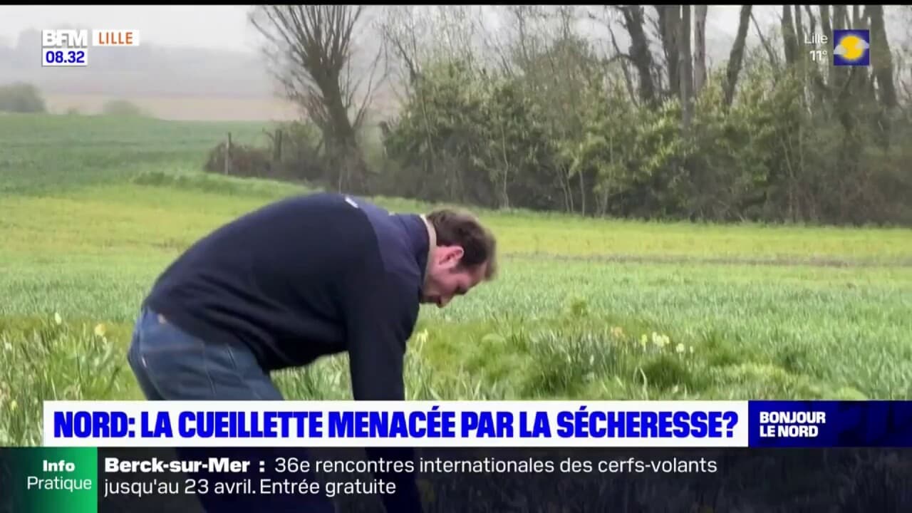 Le Pas de Calais placé en vigilance sécheresse comme le Nord ce qui