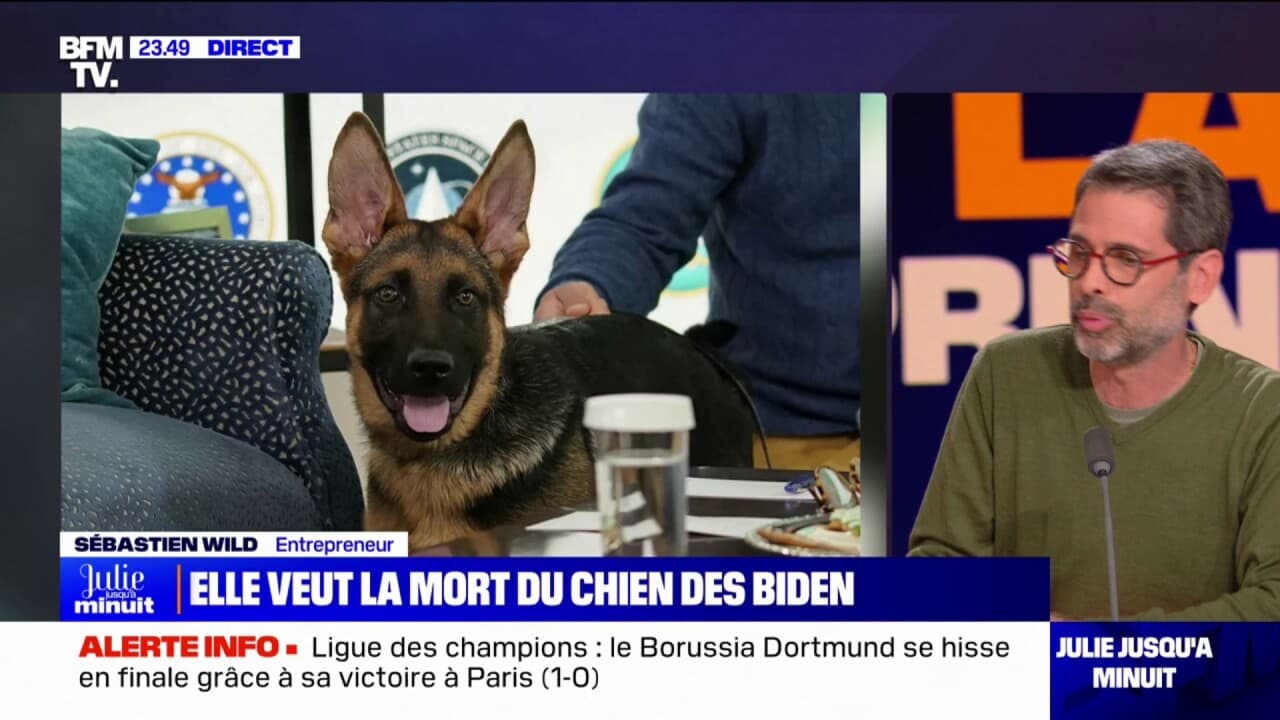 La Bande Prend Le Pouvoir Elle Veut La Mort Du Chien Des Biden