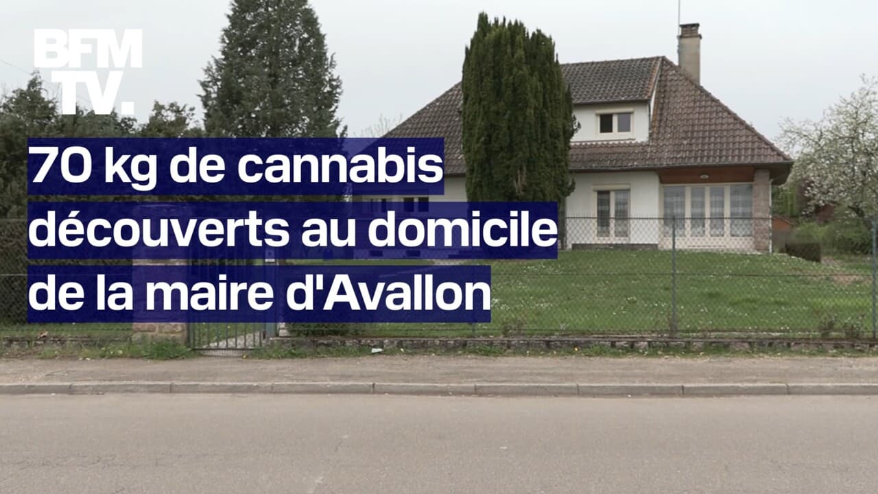 Au moins 70 kg de cannabis découverts au domicile de la maire d Avallon