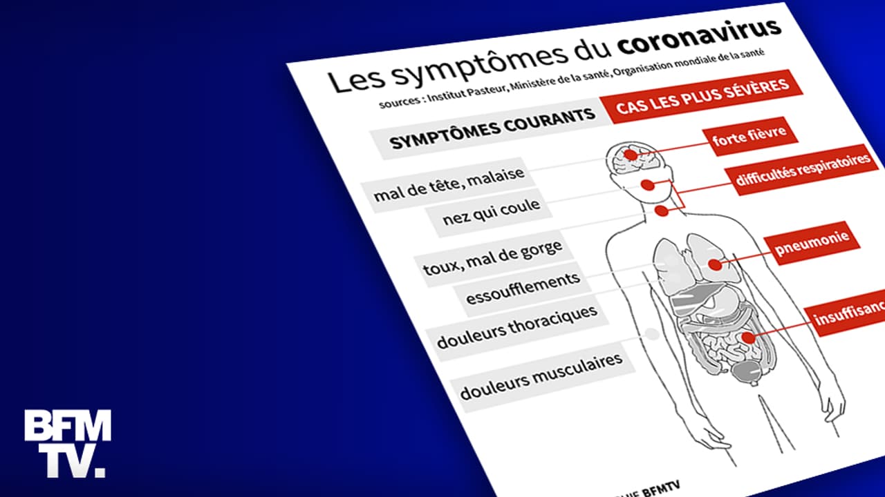 Infographie Quels Sont Les Sympt Mes Du Coronavirus