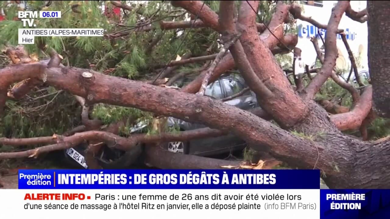 Arbres arrachés toitures endommagées de gros dégâts à Antibes après