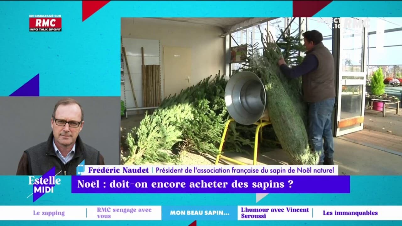 No L Faut Il Choisir Un Sapin Naturel En Palette Ou Plastique