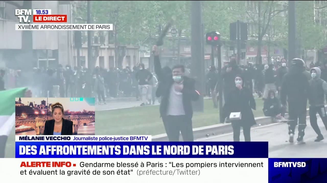 Manifestation pro Palestine à Paris des violences au moment de la