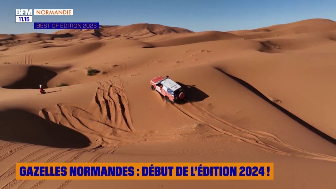 Gazelles normandes début de l édition 2024