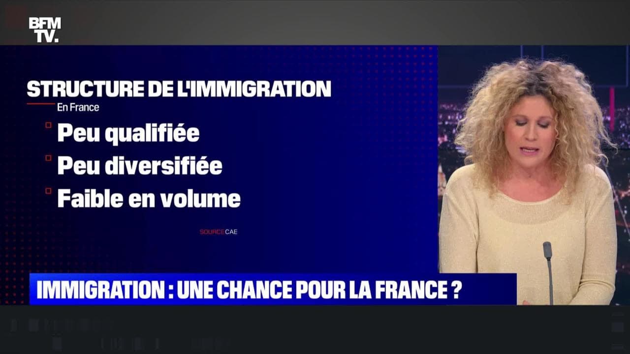 Le Plus De 22h Max L Immigration Est Elle Une Chance Pour La France