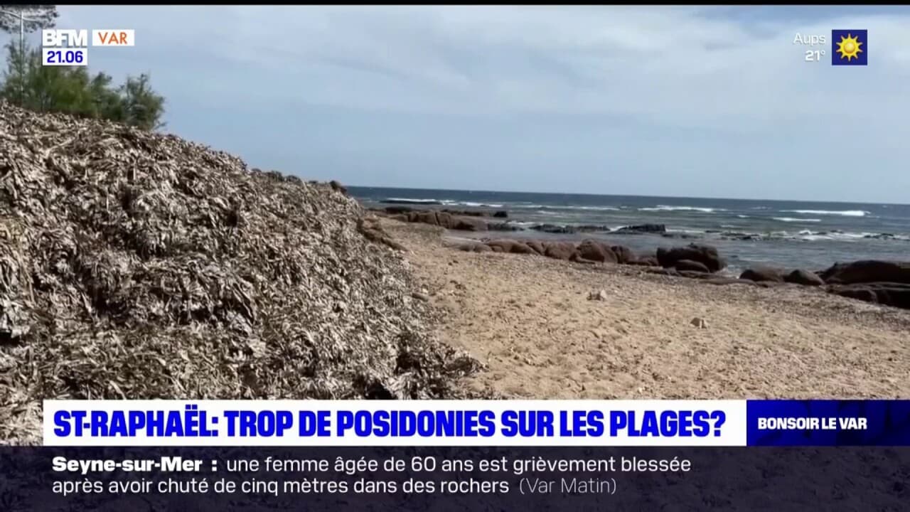 Saint Raphaël les fleurs marines envahissent les plages