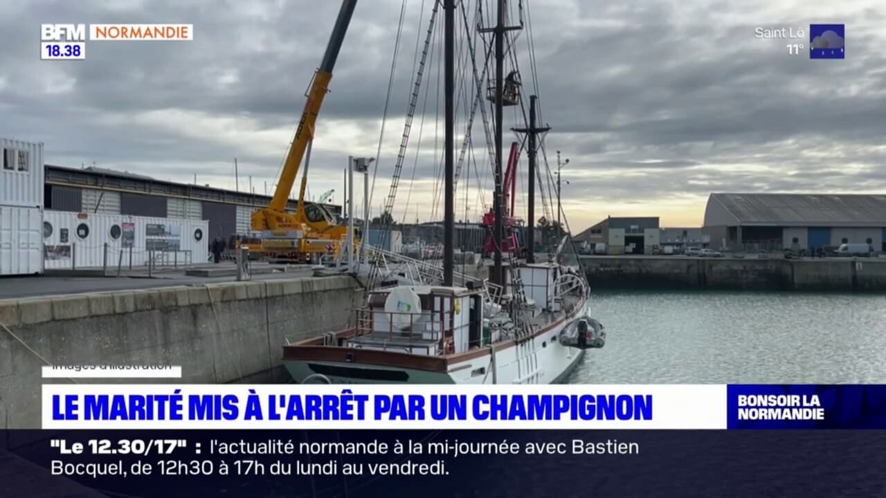 Le Marité le dernier terre neuvier à voile français mis à l arrêt par