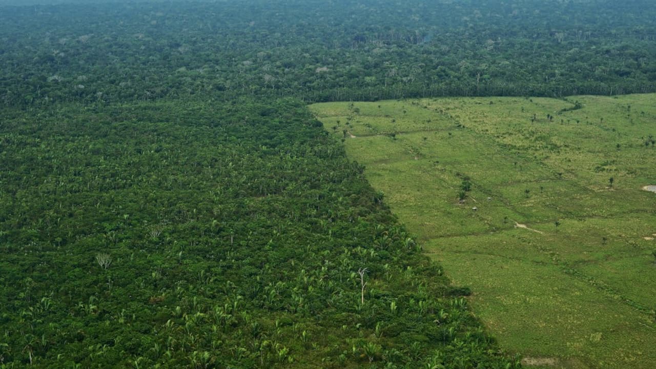 La déforestation en Amazonie brésilienne au plus haut depuis 12 ans