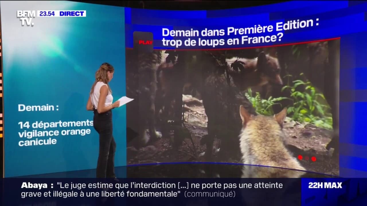 À LA UNE DEMAIN Canicule présence du loup en France et procès de