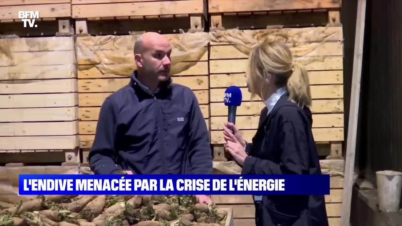 L Endive Menac E Par La Crise De L Nergie