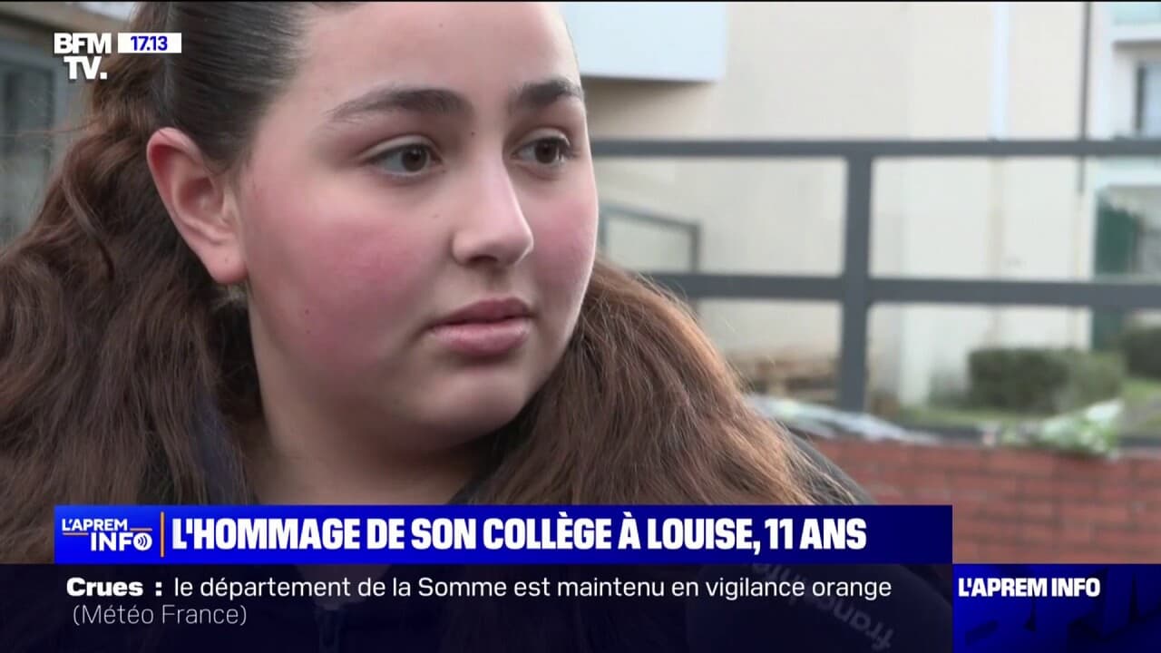 Elle Avait L Air Gentille Et Joyeuse Le Choc Des Camarades De Louise