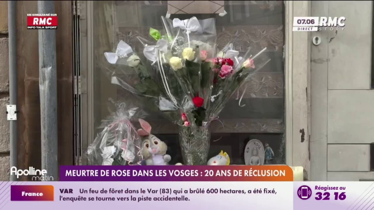 Meurtre de Rose dans les Vosges 20 ans de réclusion