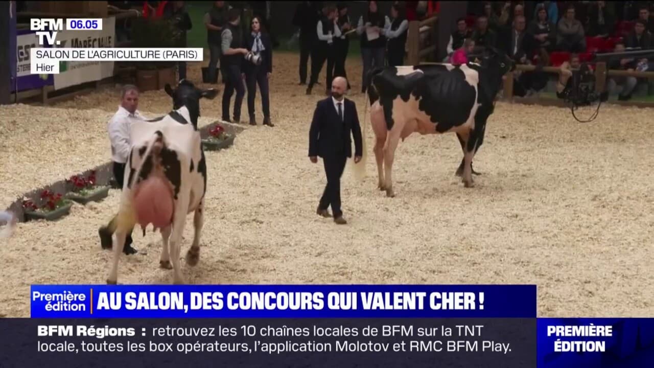 Salon De L Agriculture Des Concours Qui Attirent Les Visiteurs Et Qui