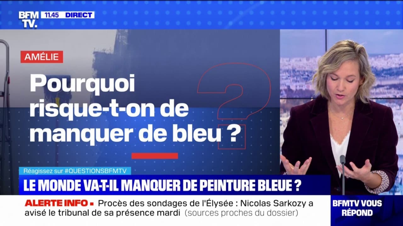 Pourquoi risque t on de manquer de peinture bleue BFMTV répond à vos