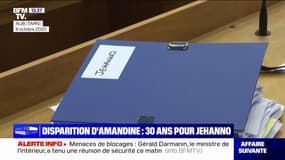 Disparition d'Amandine Estrabaud: Guerric Jehanno condamné à 30 ans de réclusion pour meurtre et viol