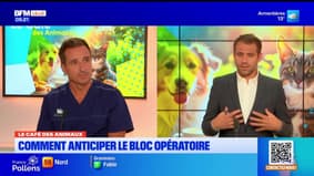 Bonjour Lille du mercredi 24 septembre 2025