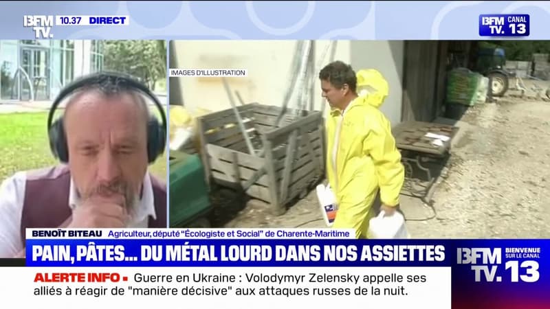 Métaux lourds dans les pesticides: 