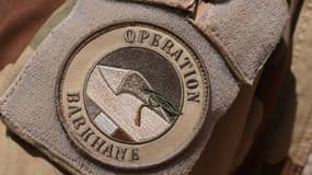 Cette photo d'archive prise le 1er janvier 2015 montre le logo de l'opération Barkhane