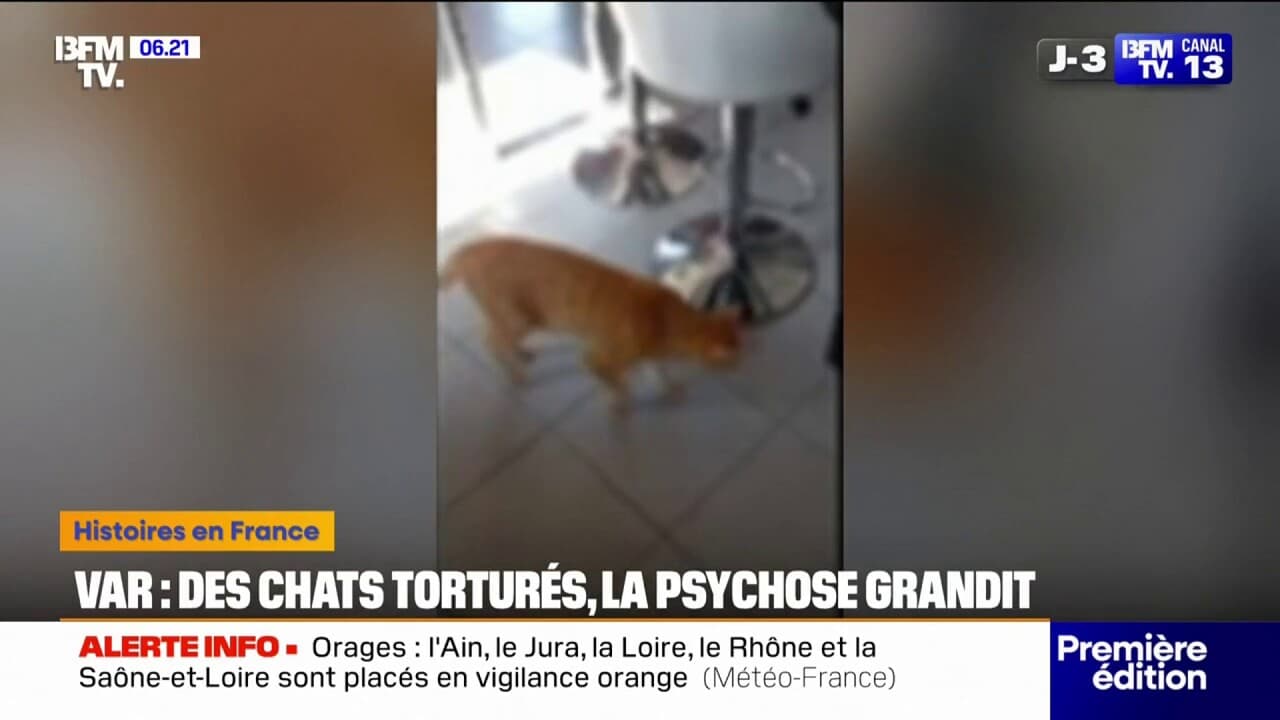 feature-image