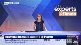Les Experts de l'immo : Logement neuf, la crise persiste - 05/09