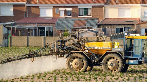 Un épandage de pesticides dans un champ de pommes-de-terre, le 20 mai 2012, à Godewaersvelde.