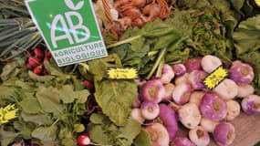 7 Français sur 10 déclarent consommer régulièrement des produits (légumes, laitages, ...) issus de l'agriculture biologique. (image d'illustration) 