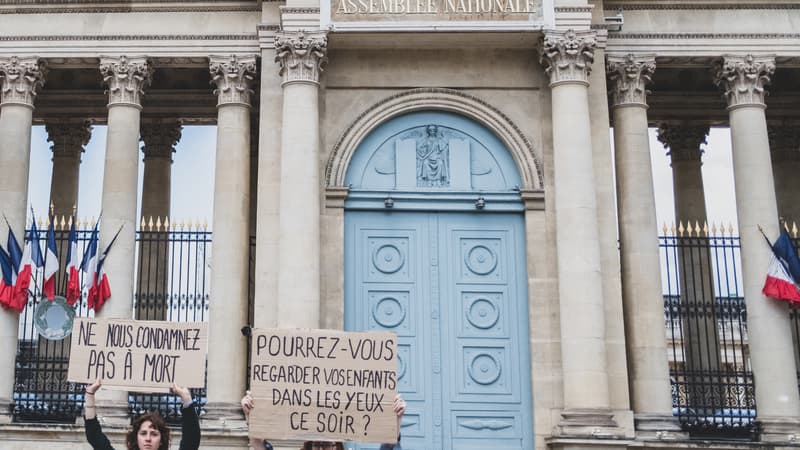 Plus de 2 millions de signatures: la pétition contre la loi Duplomb débattue à l'Assemblée nationale