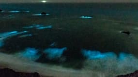 En Californie, ces vagues luminescentes créent un paysage féérique