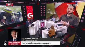 Thierry Mariani : "Ce n'est pas notre guerre !"