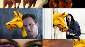 Une image d'un cheval est devenue virale sur X. 