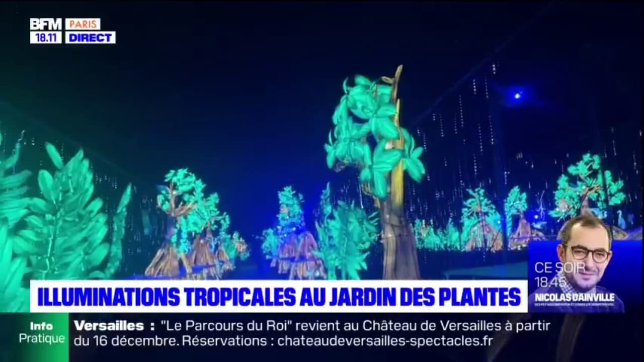 Paris les illuminations tropicales du Jardin des plantes