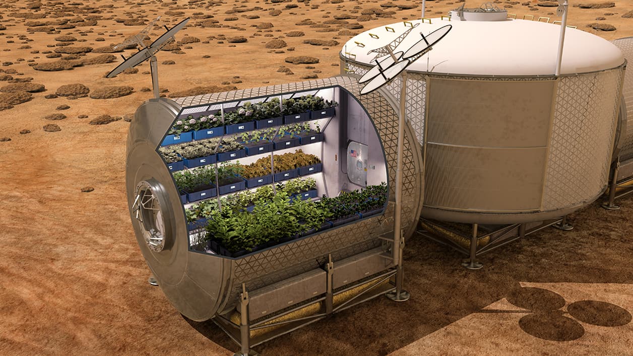 La NASA envisage de cultiver des aliments sur les engins spatiaux à venir, et sur d'autres planètes. La NASA envisage de cultiver des aliments sur les engins spatiaux à venir, et sur d'autres planètes.