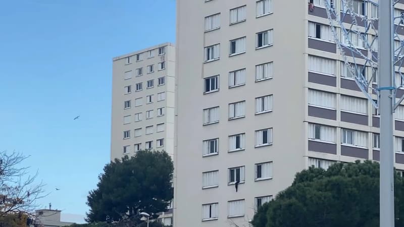 "Tout le monde s'en fout": son appartement squatté, une mère célibataire marseillaise exaspérée