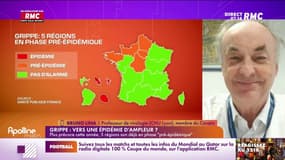 Grippe : vers une épidémie d'ampleur ?