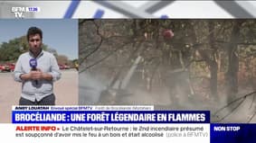 Incendie dans la forêt de Brocéliande: le feu est contenu
