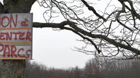 Pourquoi Center Parcs abandonne finalement son projet en Isère
