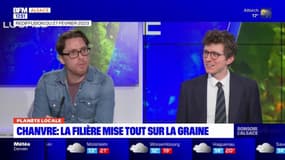 Planète locale du lundi 8 mai - Chanvre, la filière mise tout sur la graine