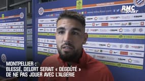Montpellier : Blessé, Delort serait « dégoûté » de ne pas jouer avec l’Algérie 