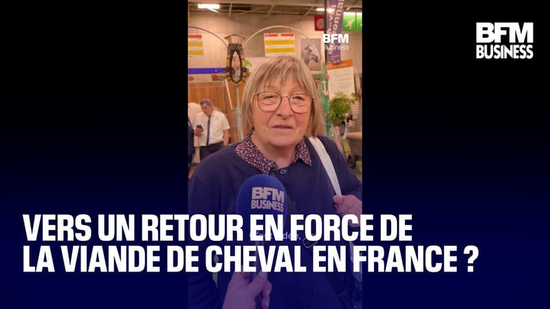 Vers un retour en force de la viande de cheval en France ?