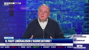 Le débat  : Il faut libéraliser l'agriculture, par Jean-Marc Daniel et Nicolas Doze - 24/11