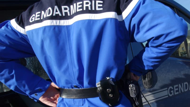 La femme a été tuée alors qu'elle était au téléphone avec les gendarmes, qui s'inquiétaient de sa situation - Image d'illustration.