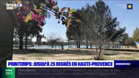 Printemps : Jusqu'à 25 degrés en Haute-Provence