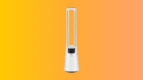 Le purificateur d’air Valberg souffle un vent de fraîcheur sur son prix, dites adieu aux allergies au pollen 