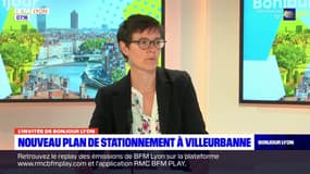 Rhône: un nouveau plan de stationnement à Villeurbanne