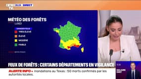 Plusieurs départements restent en vigilance orange feu de forêt 