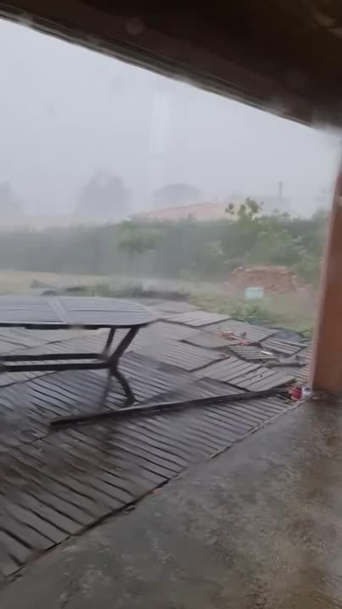 placeholder video