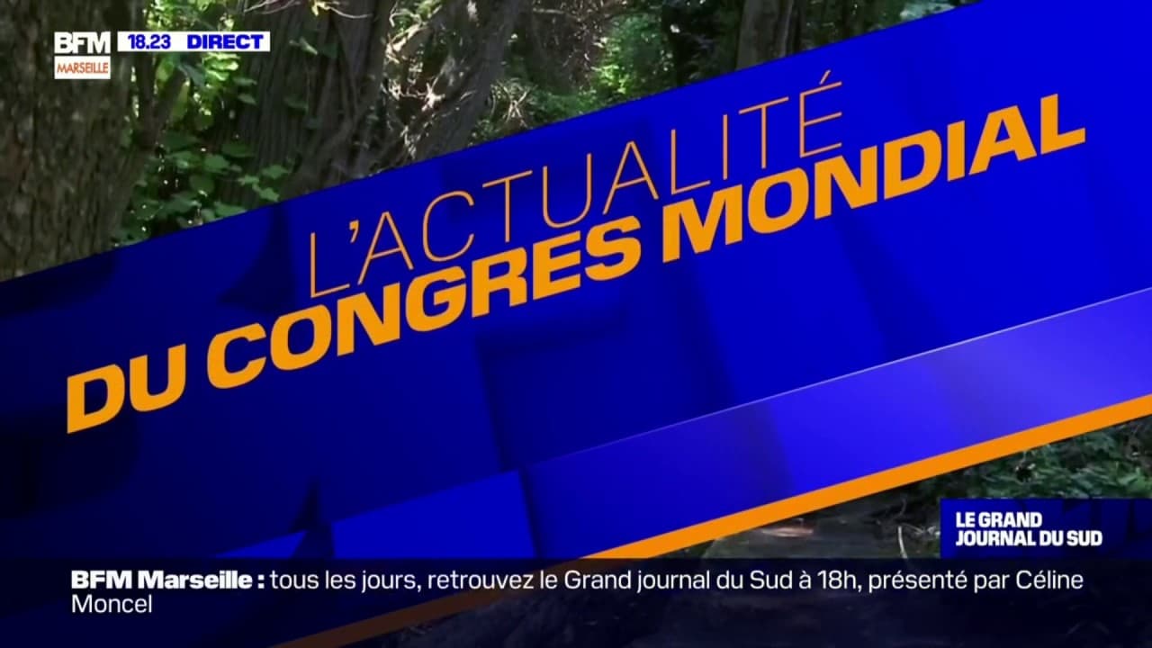 Www Bfmtv Com Politique Bernard Cazeneuve A Propos Des Terroristes Du 13 Novembre Leur Silence Est La Manifestation De Leur Lachete Vn Html Images Bfmtv Com Cp Xtcsq Rjwfkjgucyrwsmaeq0 0x0 1280x7 Images