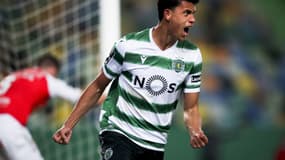Sporting