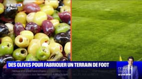 À La Ciotat, des extraits de noyaux d'olives remplacent les granules en caoutchouc sur un terrain de foot